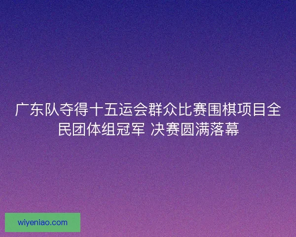广东队夺得十五运会群众比赛围棋项目全民团体组冠军 决赛圆满落幕