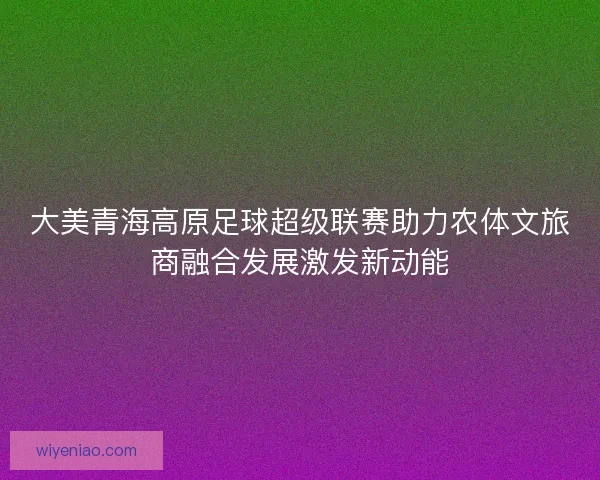 大美青海高原足球超级联赛助力农体文旅商融合发展激发新动能